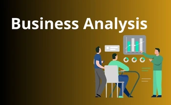 Business Analysis Projects