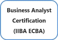 Business Analyst Certification